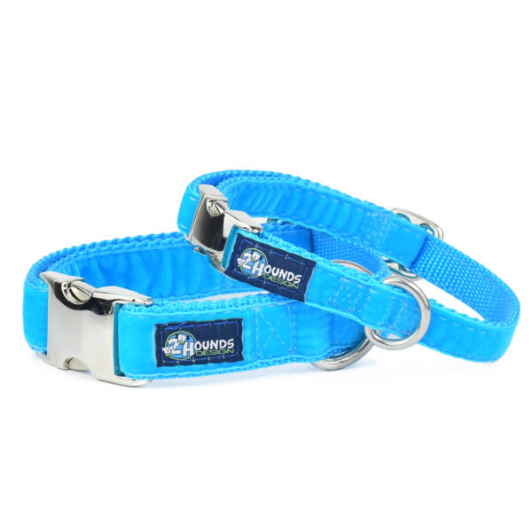Turquoise Velvet Essential Buckle Martingale Dog Collar 2 Hounds Design
