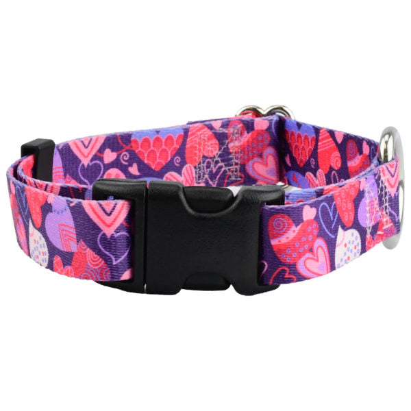 Wild Hearts Dog Collar – EarthStyle 1 inch 2 Hounds Design