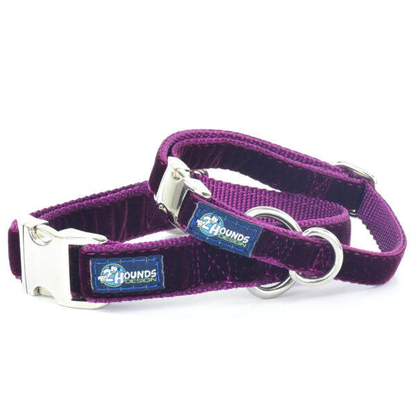 Burgundy Velvet Essential Buckle Martingale Dog Collar 2 Hounds Design