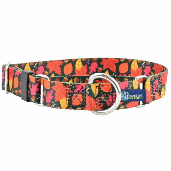 Falling Leaves Martingale Dog Collar – EarthStyle 1 inch 2 Hounds Design