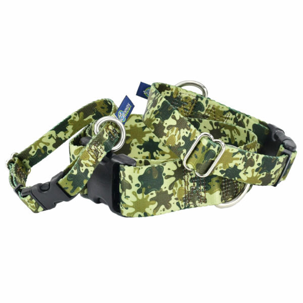 Archie Loves Mud Buckle Martingale Dog Collar – EarthStyle 2 Hounds Design