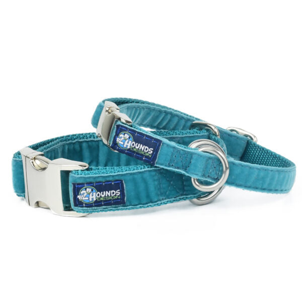 Teal Velvet Essential Buckle Martingale Dog Collar 2 Hounds Design