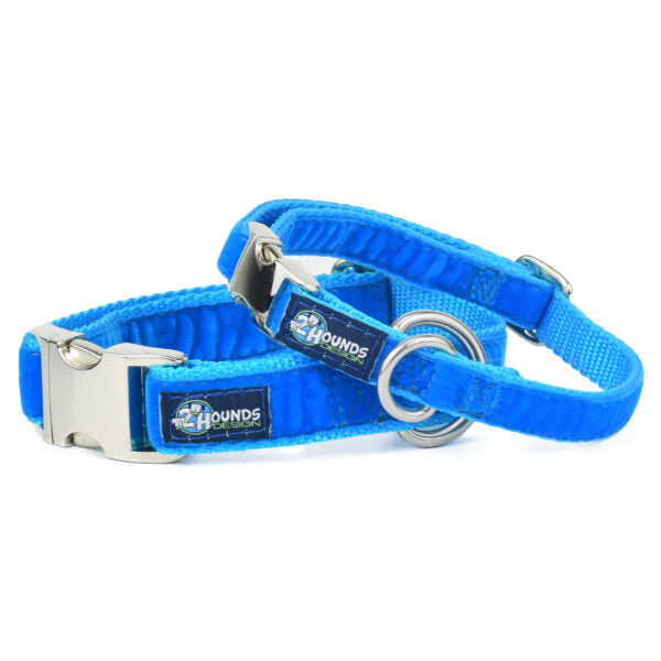 Venetian Blue Velvet Essential Buckle Martingale Dog Collar 2 Hounds Design