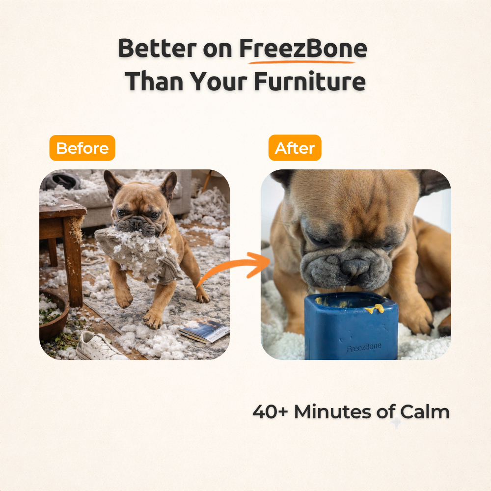 Freezbox - Super Tough Treat Toy Freezbone