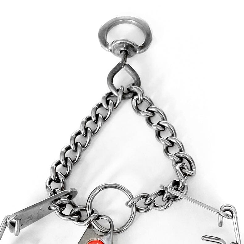 Herm Sprenger - MICRO-PLUS Training Collar with Center-Plate and Assembly Chain – Stainless steel Collars, Prong/Pinch Dog Collars Dogline
