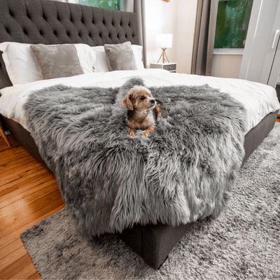 PupProtector™ Waterproof Throw Blanket - Charcoal Grey Dog Blanket Paw.com