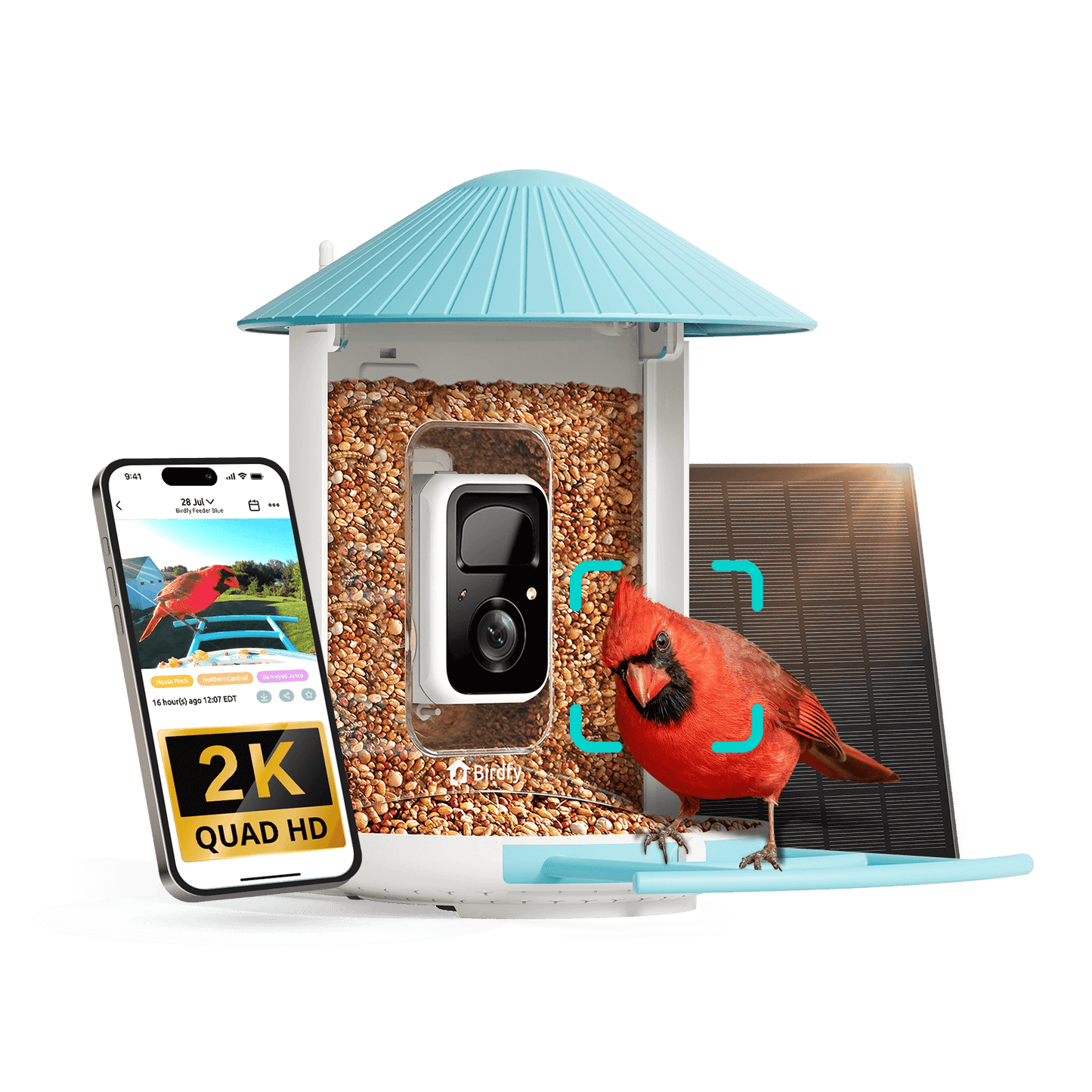 Birdfy Feeder - AI-Powered Smart Bird Feeder with Camera + Solar Panel AI Lifetime Free Birdfy Feeder Birdfy