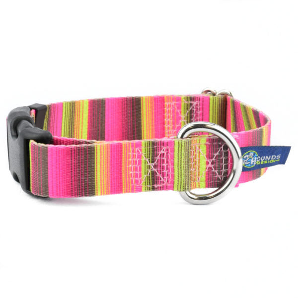 Bonnie Buckle Martingale Dog Collar – EarthStyle 2 Hounds Design