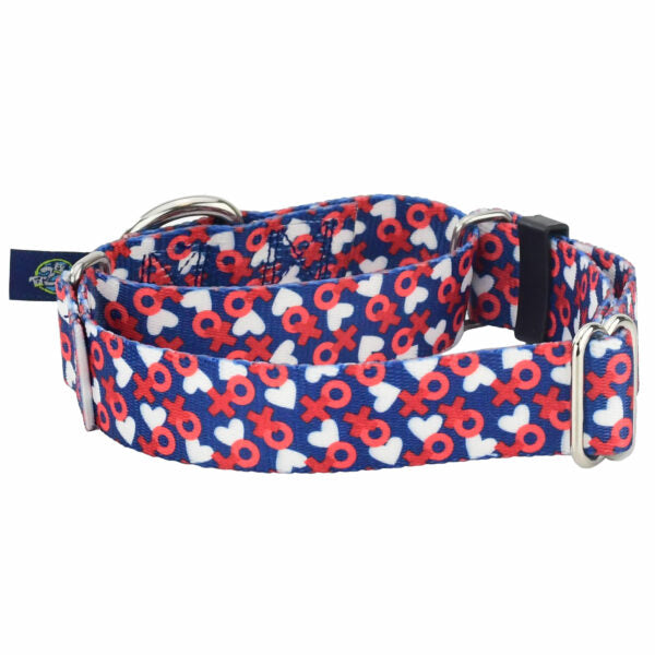XO Martingale Dog Collar – EarthStyle 1 inch 2 Hounds Design