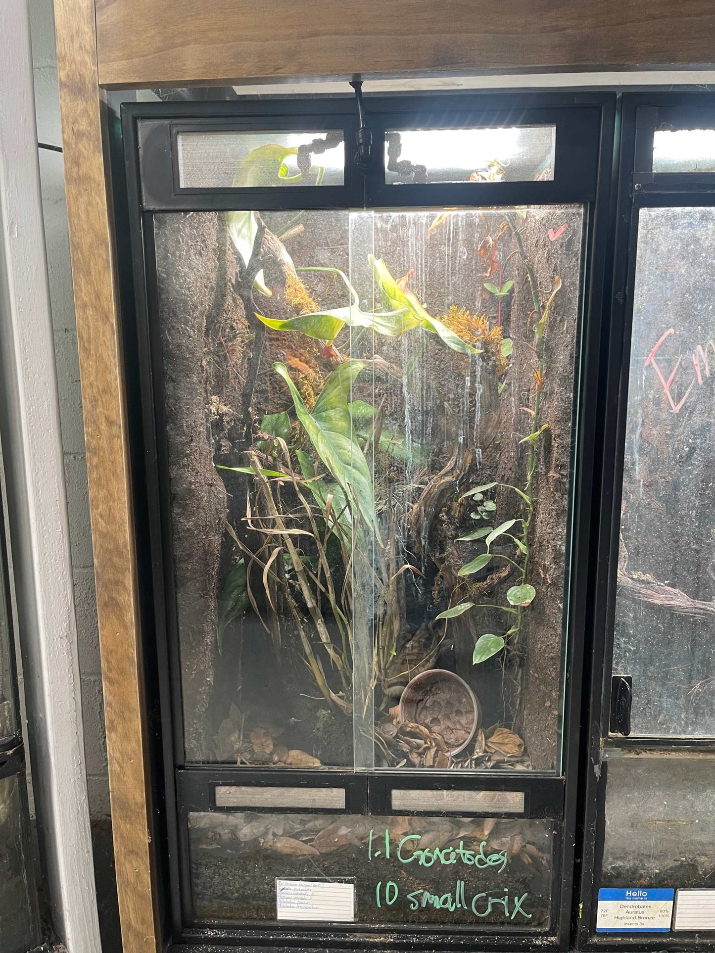 Thrive Ecosystems Aqueon Aquarium Conversion Kit 40 Vert Thrive Ecosystems