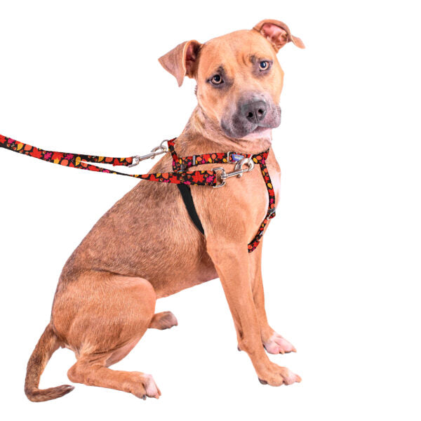 Falling Leaves Freedom No-Pull Dog Harness – EarthStyle 2 Hounds Design