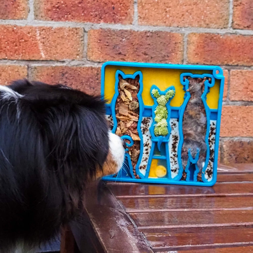 Waiting Dogs eTray - Shallow Slow Feeder Bowl for Enrichment | USA Made ETRAY SodaPup/True Dogs, LLC