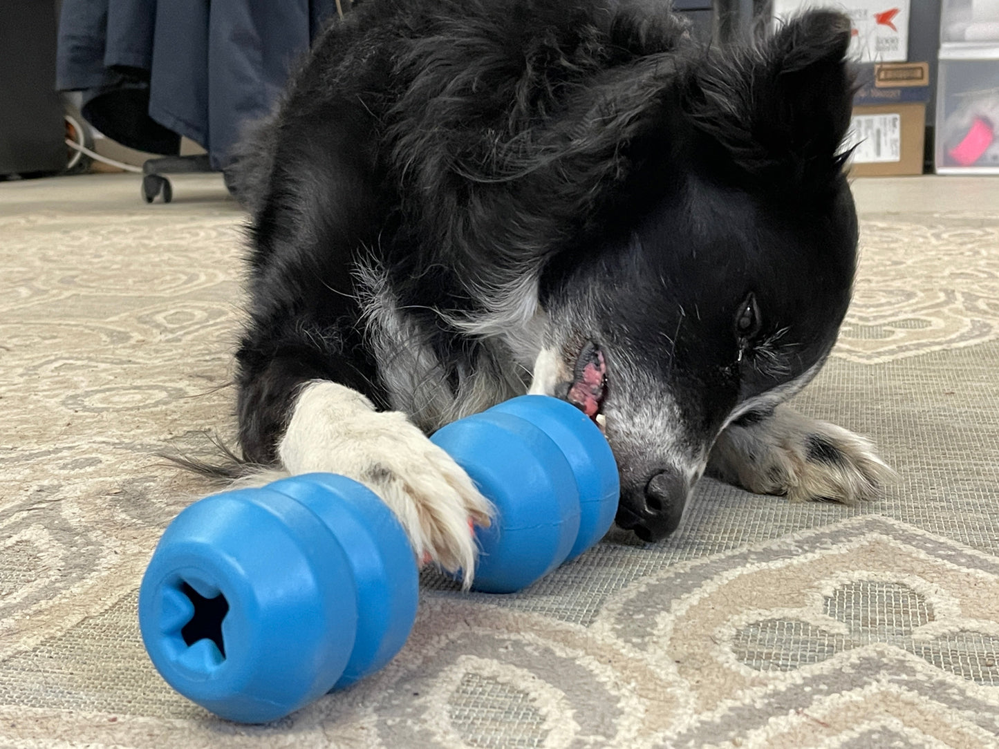 Unstoppables Connectors for SodaPup Rubber Treat Dispensers - 2 Pack Nylon Dog Toys SodaPup/True Dogs, LLC