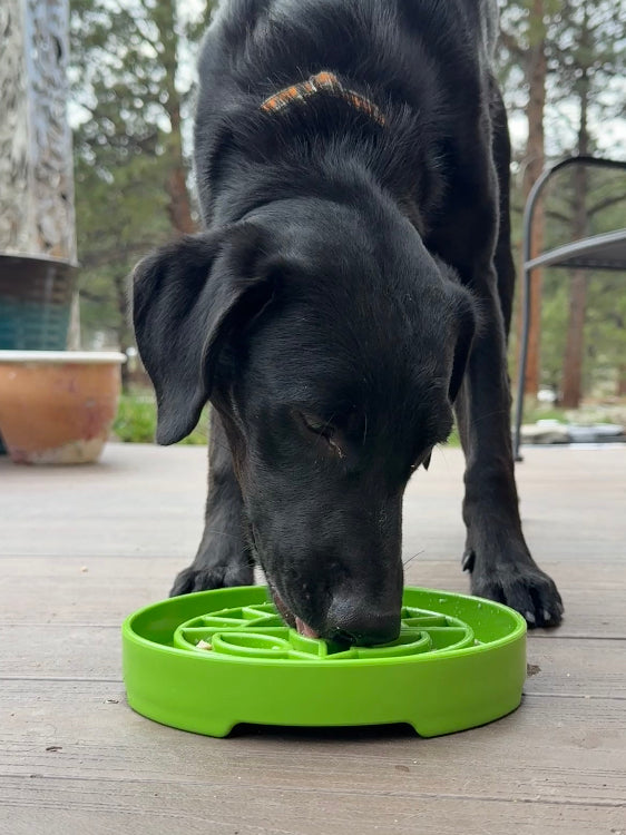 Garden Design eTray - Shallow Slow Feeder Dog Bowl for Enrichment | USA ETRAY SodaPup/True Dogs, LLC