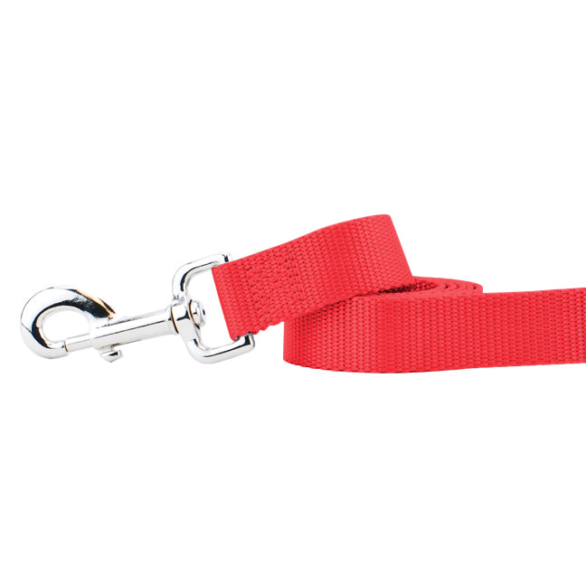 Red Nylon Dog Leash 2 Hounds Design