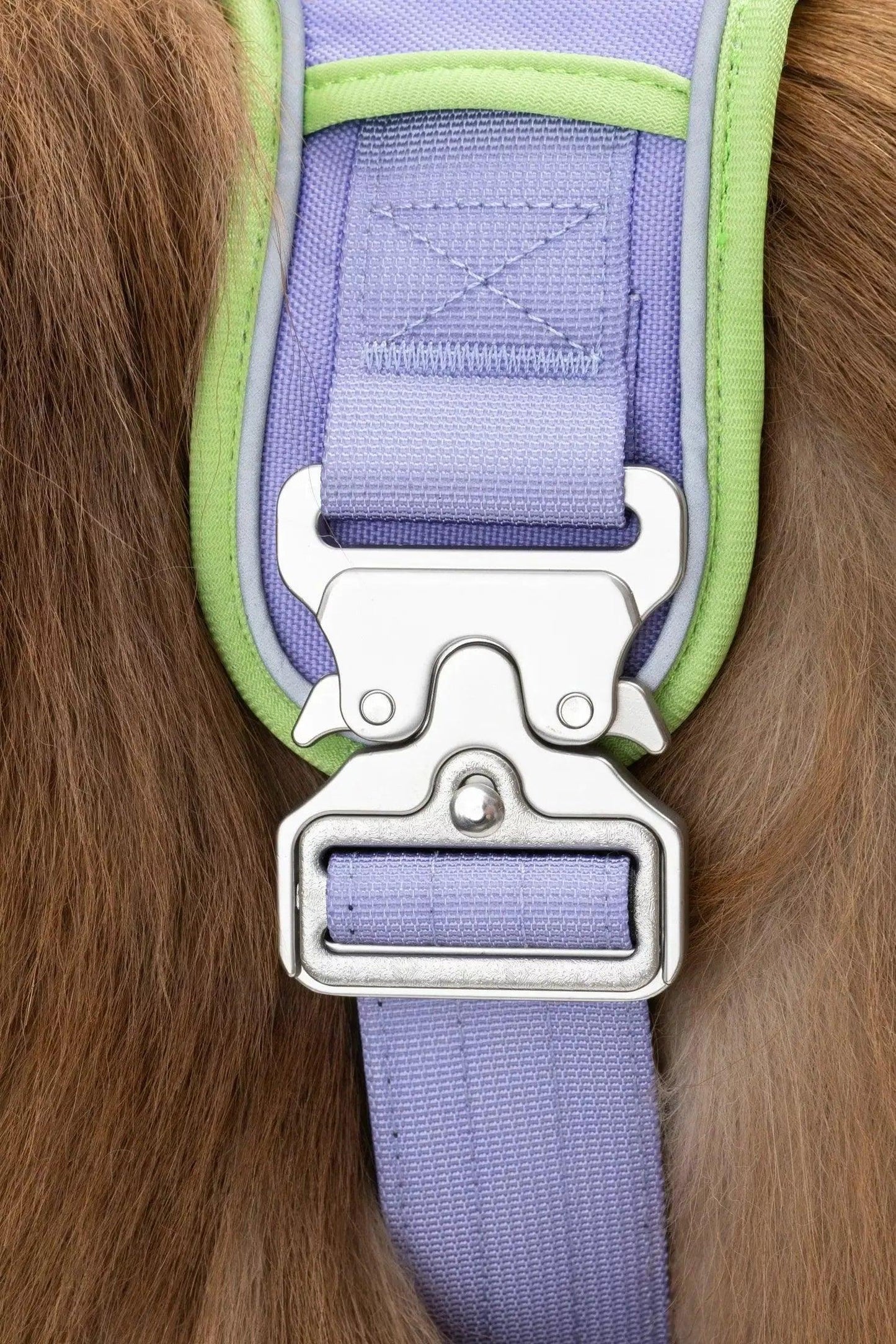 Lavender Garden Ultimate Dog Harness Harness Aria the Fox