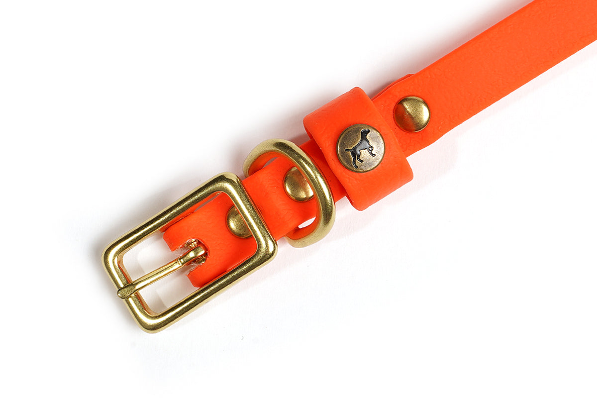 Sporting Puppy Collar - Blaze Orange Dog Supplies Pointer Traditions