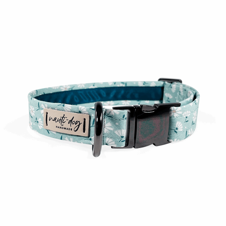 Paperwhite Sea Glass Green Daisy Floral Buckle & Martingale Dog Collar Dog Collars Nauti-dog Handmade