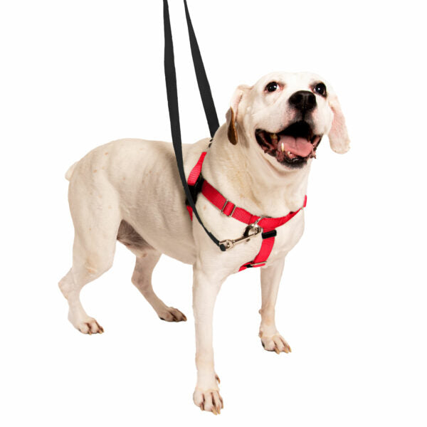 Red Freedom No-Pull Dog Harness Freedom Harness 2 Hounds Design
