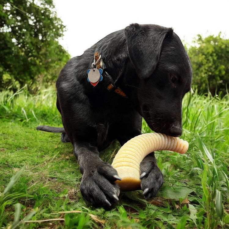 Flufflehorn Dental Antler - Indestructible Nylon Dog Chew Toy XL | USA Made Nylon Dog Toys SodaPup/True Dogs, LLC