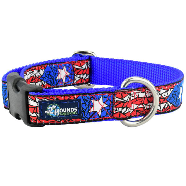 1″ Puerto Rico Essential Martingale Dog Collar 2 Hounds Design