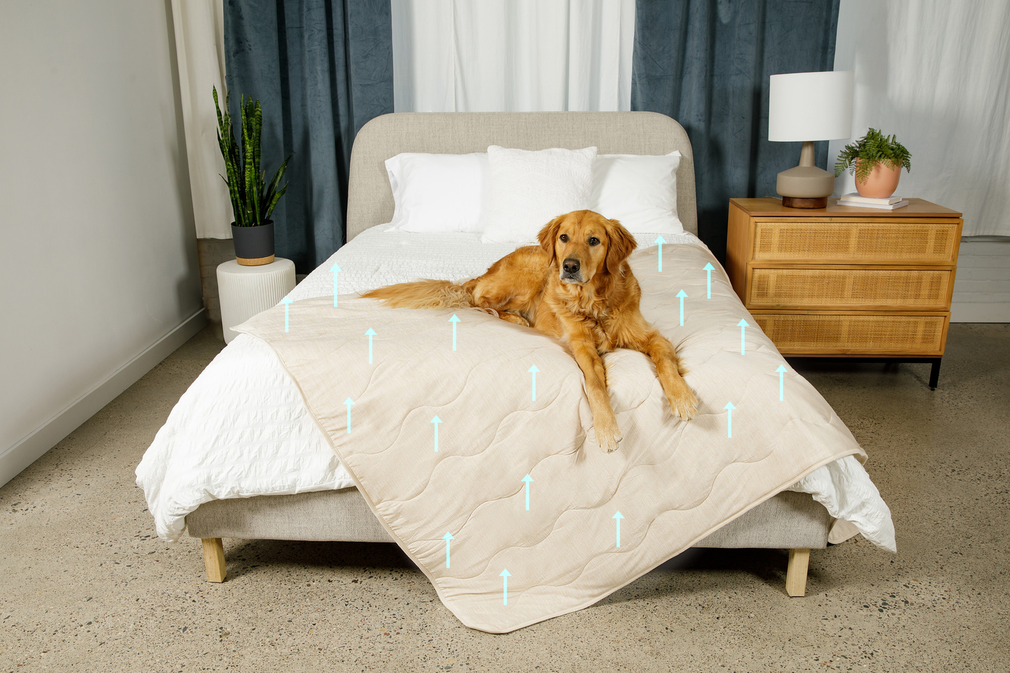 PupChill™ Cooling Waterproof Blanket - Arctic Sand Dog Blanket Paw