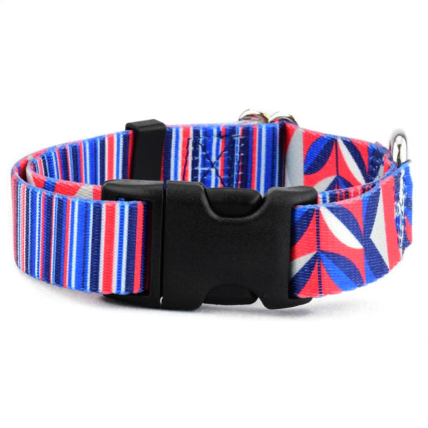 Rocky Dog Collar – EarthStyle 2 Hounds Design