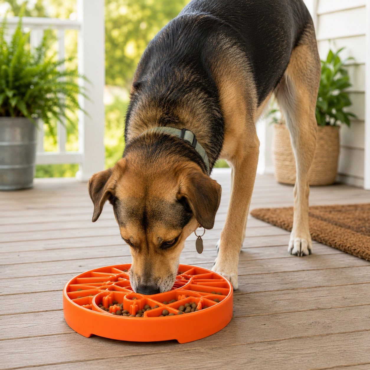 Sun and Moon eTray - Shallow Slow Feeder Dog Bowl for Enrichment | USA Made ETRAY SodaPup/True Dogs, LLC