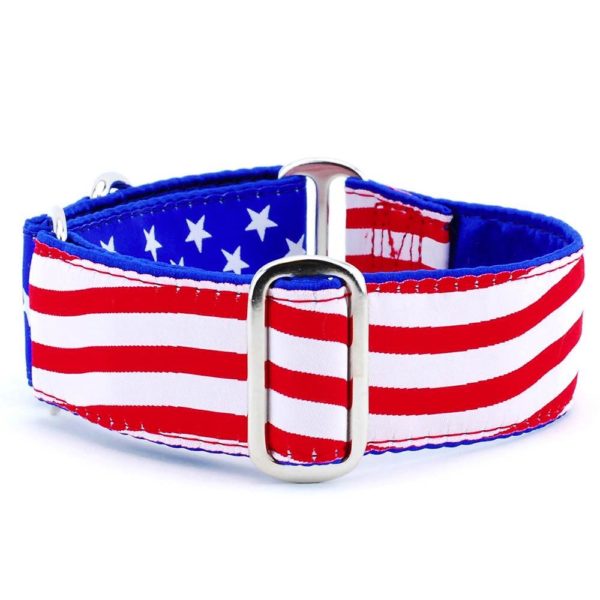 Stars and Stripes – Exclusive Buckle Martingale Dog Collar 2 Hounds Design