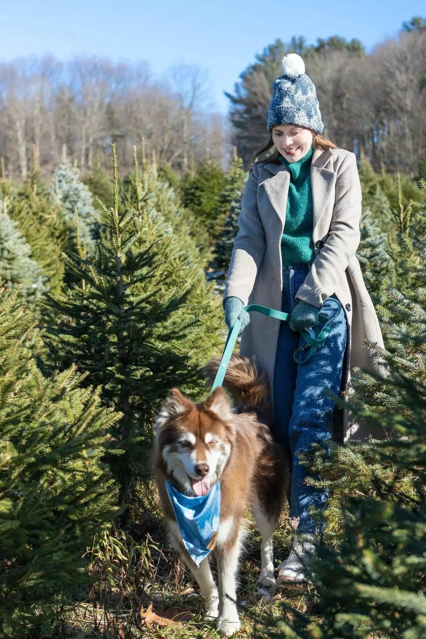 Siberian Spruce Waterproof Dog Collar Collar Aria the Fox