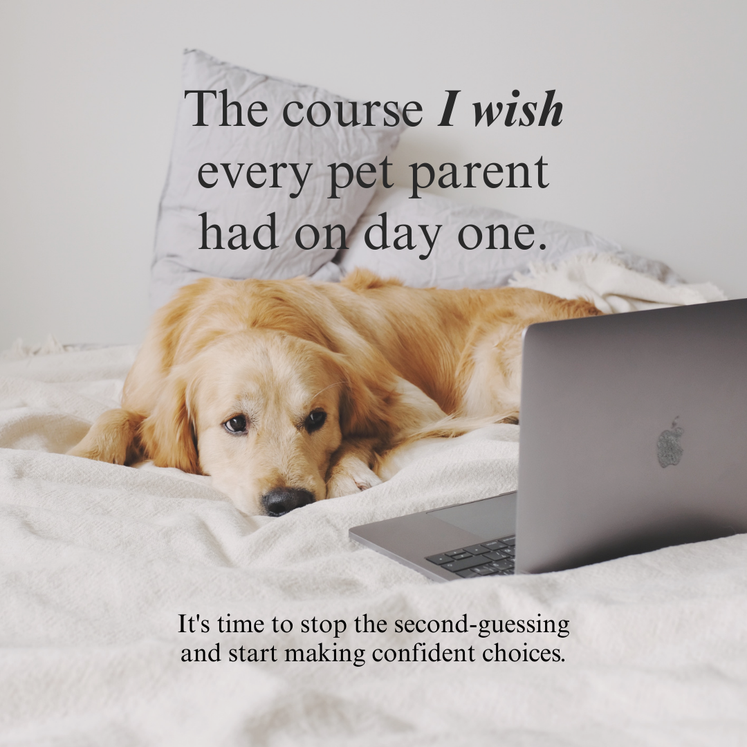 Whole Pet Wellness Academy: The Pet Parent Holistic Health Toolkit DIY Holistic Health Course Dr. Ruth Roberts