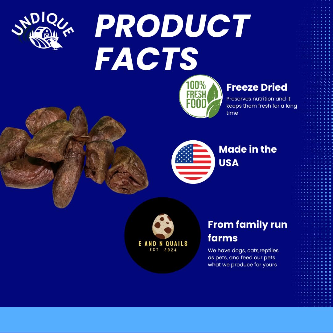Freeze-Dried Duck Hearts, 3 oz, Single Ingredient Dog & Cat Treats, USA Made Dog Treats Quailz.com by Undique LLC
