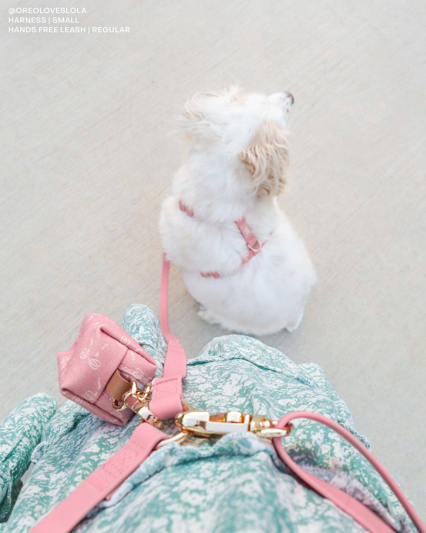 Coquette Pink Waste Bag Holder Pet Waste Bag Dispenser SUNNY TAILS