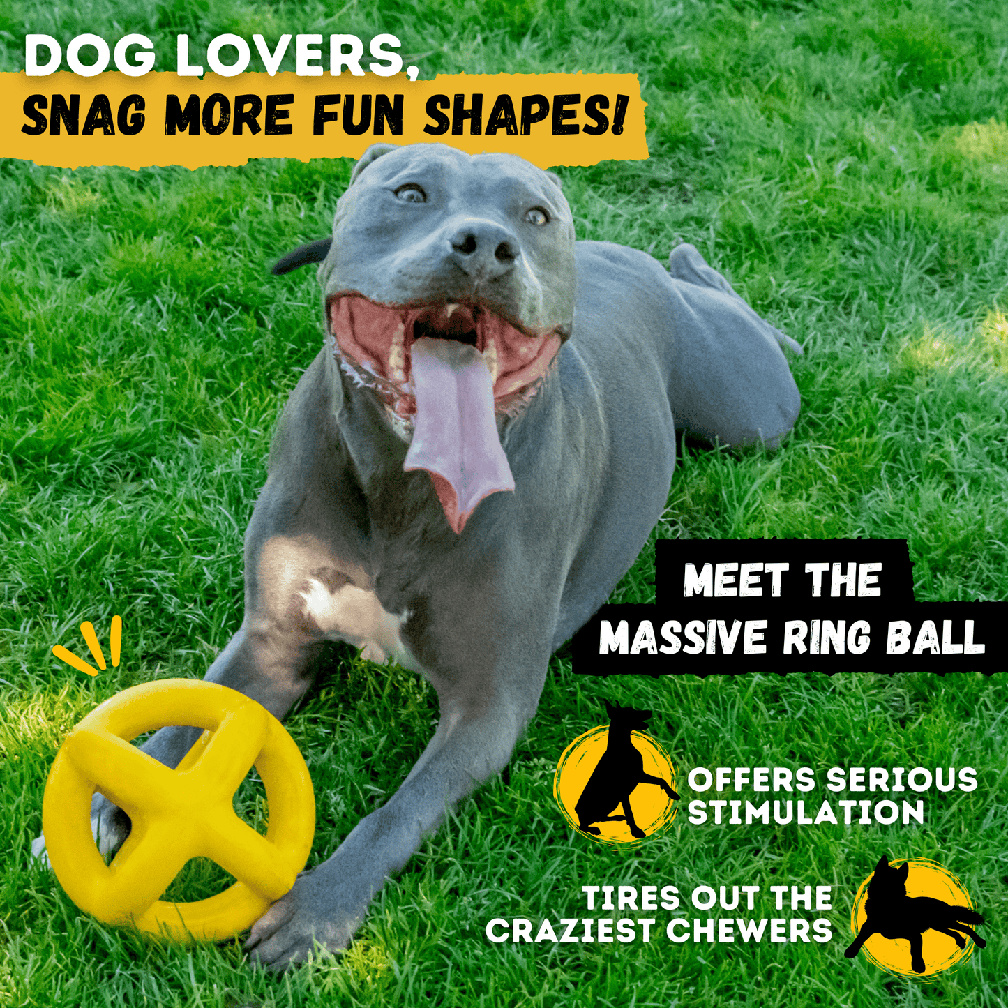 Juke Ball™ Monster K9 Dog Toys