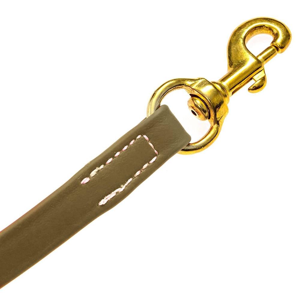 Viper Biothane Long Line 33 ft Lead with Brass Hardware Dog Leashes Dogline