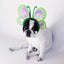 Gift Card Gift Card Dogline