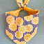Lemon Dog Bandana Dog Bandana Happy Tails Outfitters