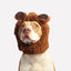 Gift Card Gift Card Dogline