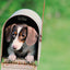 Gift Card Gift Card Dogline