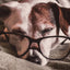 Gift Card Gift Card Dogline