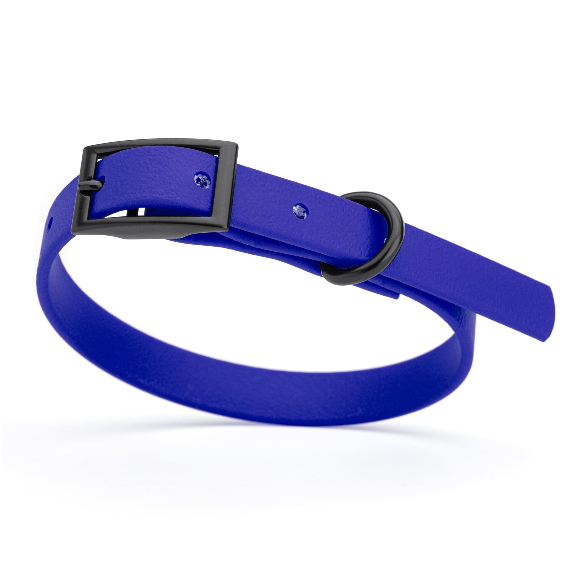 Biothane Waterproof Dog Collar - X-Small (9 to 12 inches) Blueberry Royal L 9"-12" x W 1 2" Dog Collars Dogline