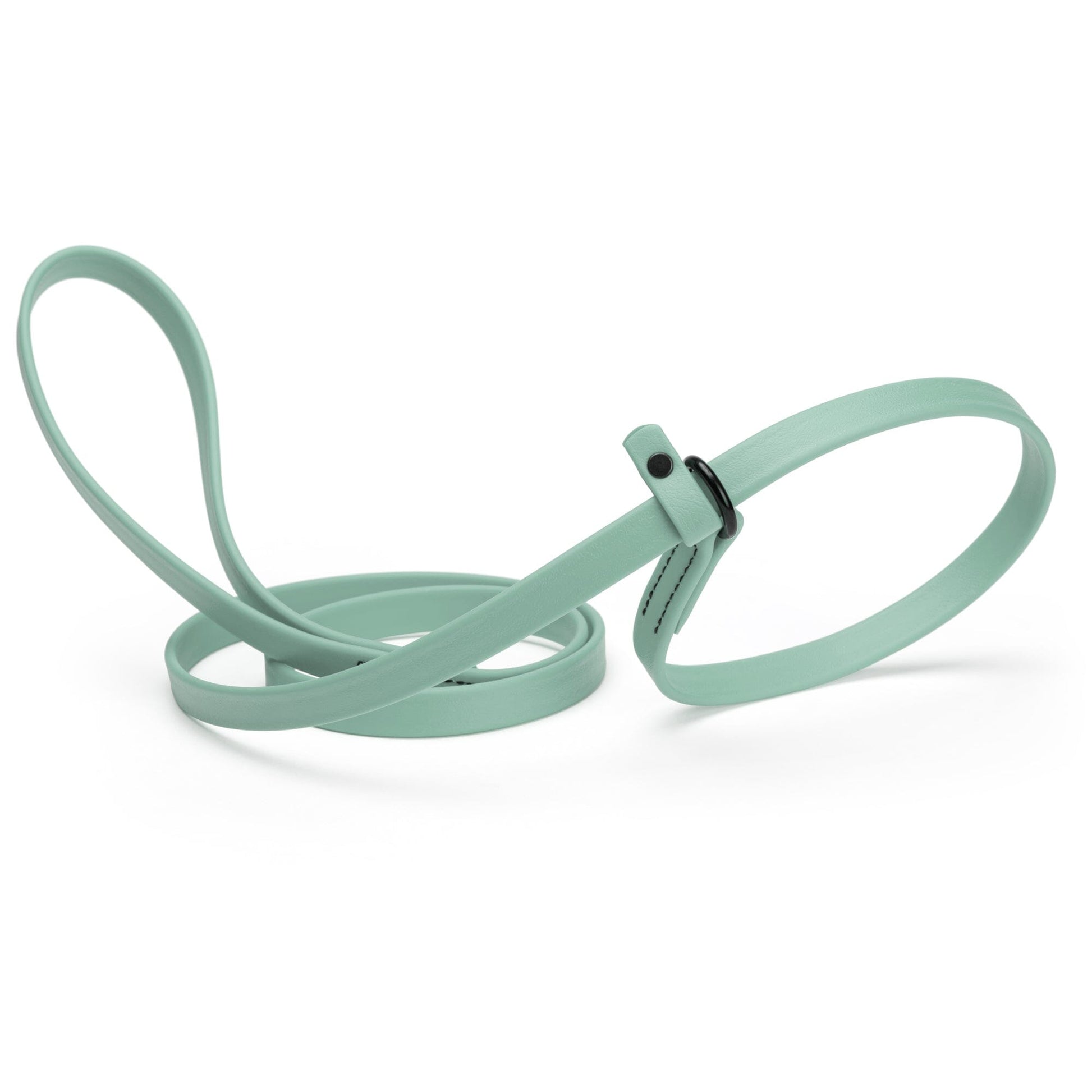Biothane Slip Lead for Dogs, 5FT and 7FT Sage Green 5 8" Dog Leashes Dogline
