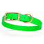 Viper Biothane Waterproof Dog Collar - Brass Hardware - Size M (15 to 18 inches) Tropical Green Dog Collars Dogline