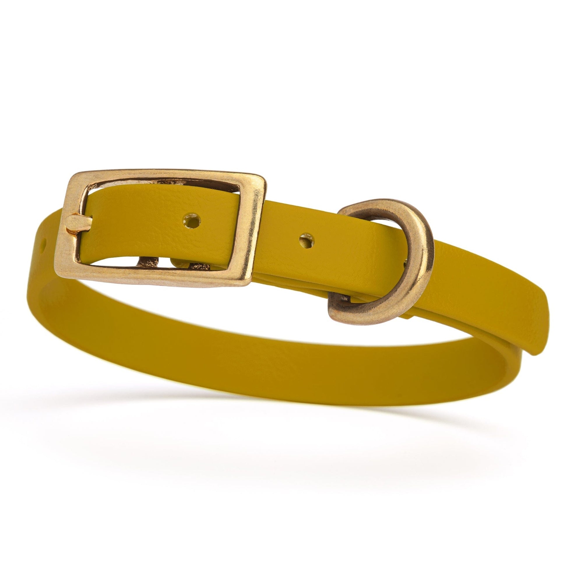 Viper Biothane Waterproof Dog Collar - Brass Hardware - Size XS (9 to 12 inches) Treasure Gold Dog Collars Dogline