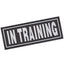 Dogline 3D Rubber Removable Patches for Dog Harness and Vest In Training Dog Patches Dogline