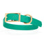 Viper Biothane Waterproof Dog Collar - Brass Hardware - Size L (18 to 22 inches) Teal Dog Collars Dogline