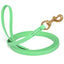 Viper Biothane Long Line 10 ft Lead with Brass Hardware Sea Foam Green 5 8" Dog Leashes Dogline