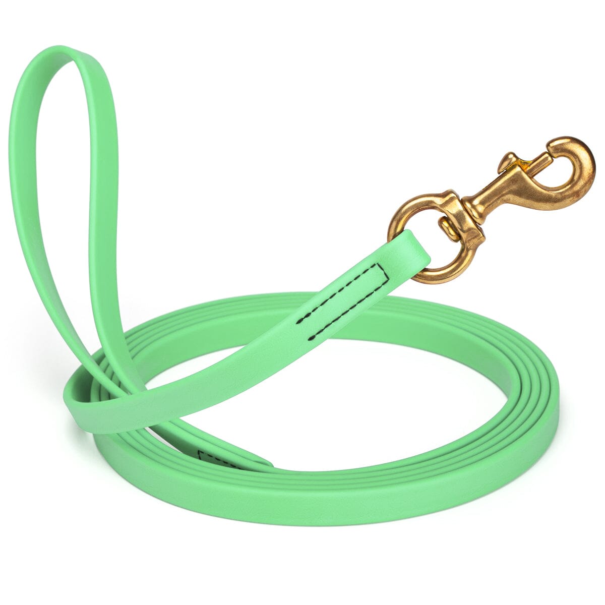 Viper Biothane Long Line 10 ft Lead with Brass Hardware Sea Foam Green 5 8" Dog Leashes Dogline