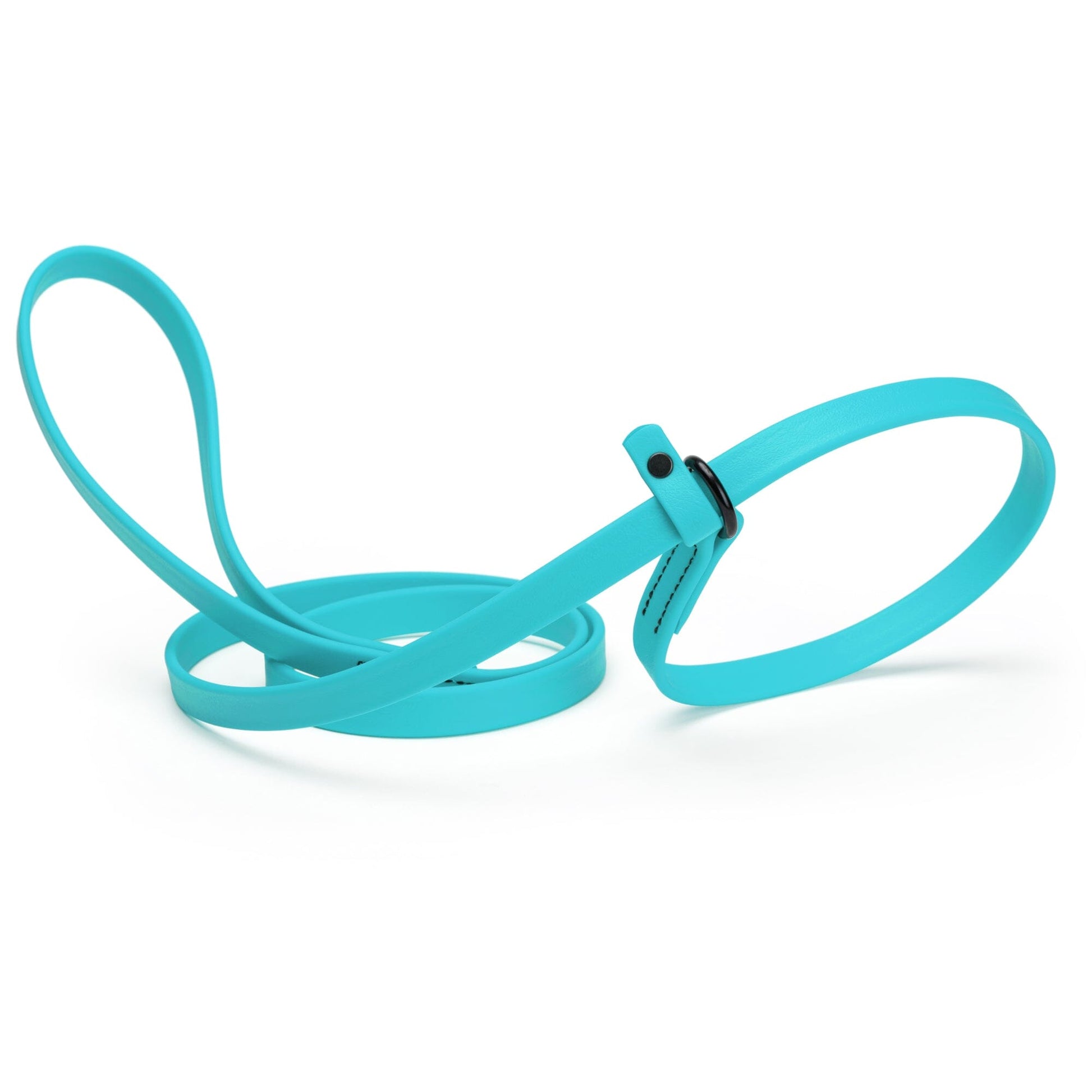 Biothane Slip Lead for Dogs, 5FT and 7FT Sky Blue 5 8" Dog Leashes Dogline