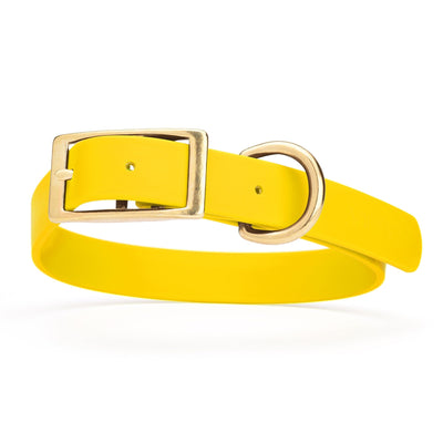 Viper Biothane Waterproof Dog Collar - Brass Hardware - Size XL (22 to 25 inches) Lemon Yellow Dog Collars Dogline